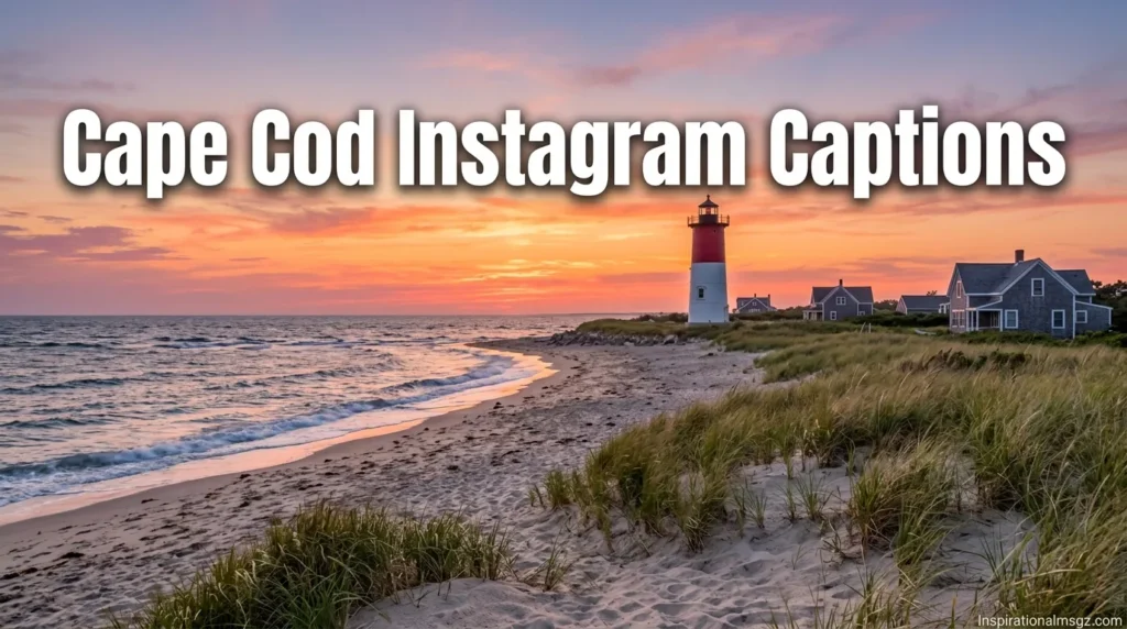 Cape Cod Instagram Captions